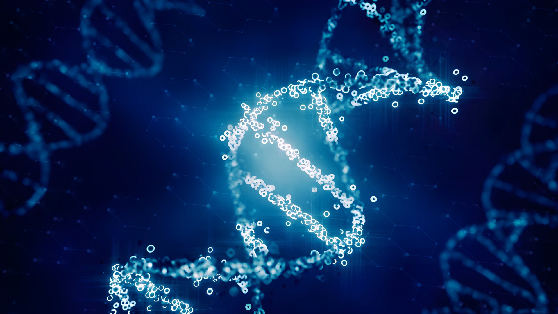 ブランド憲法の制定